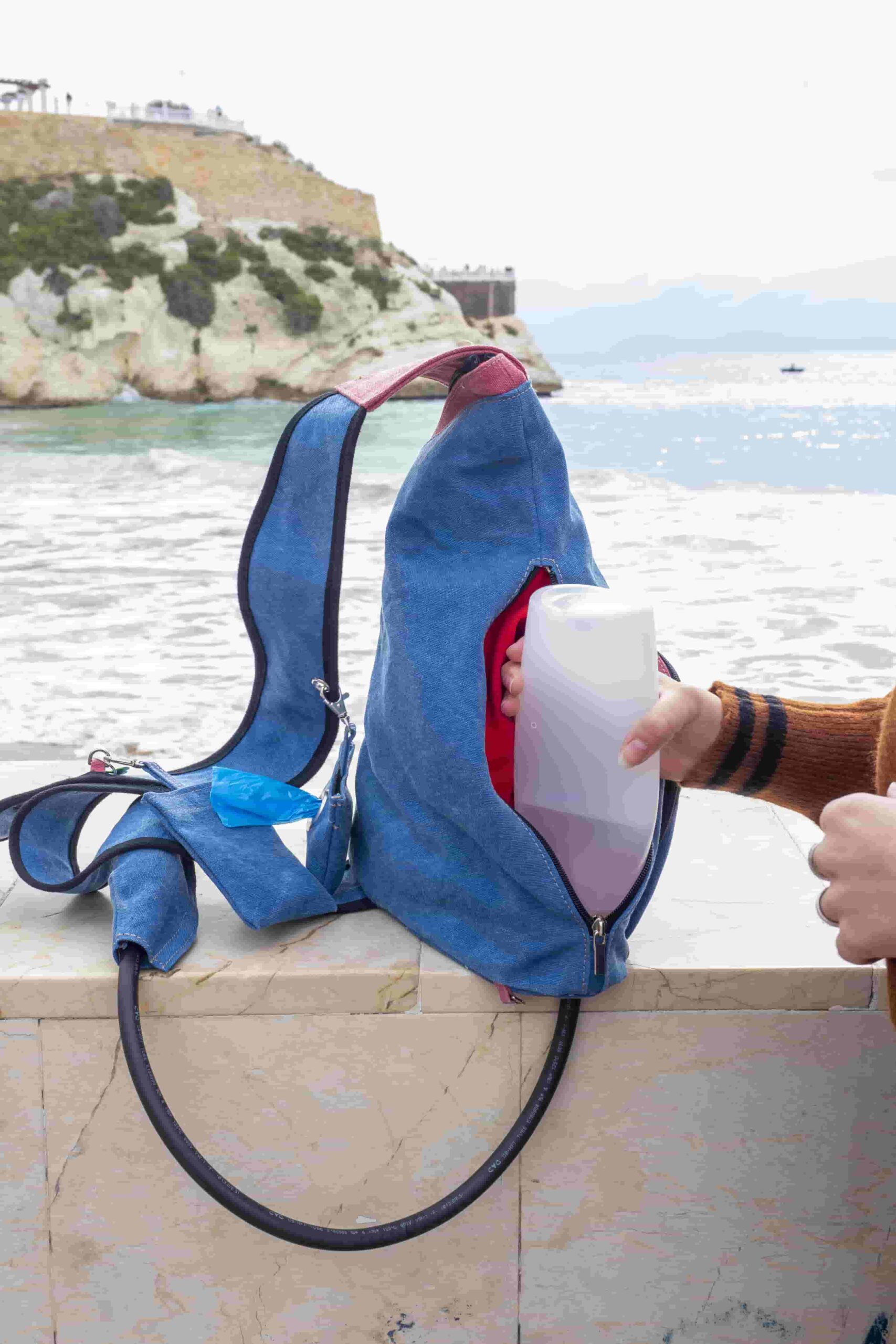 Registrar una Marca - Mochila